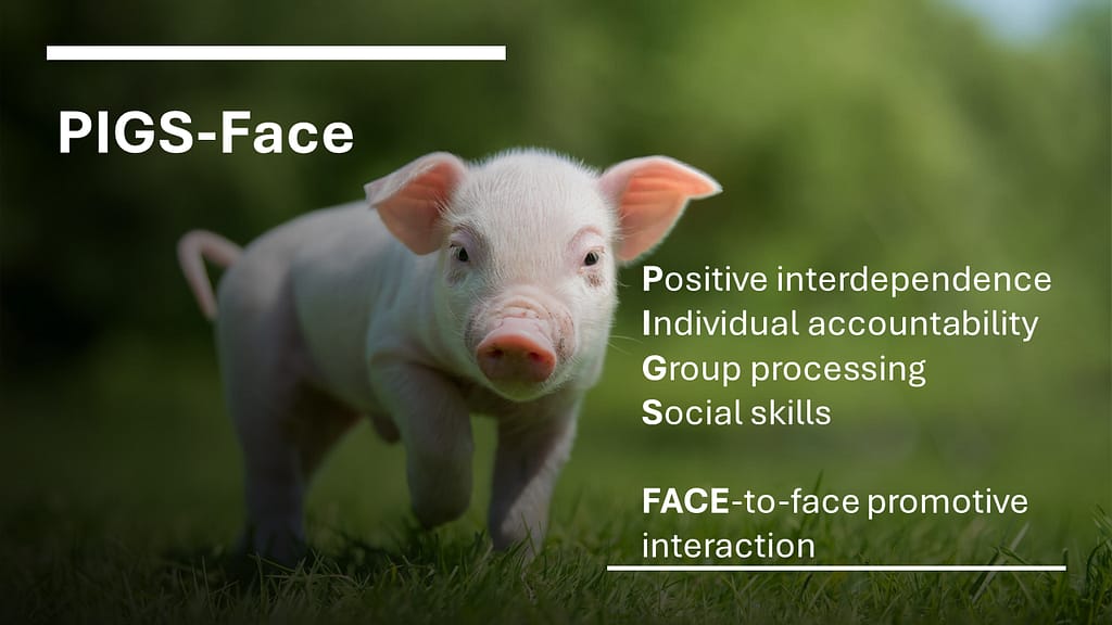 Slide explaining PIGS Face