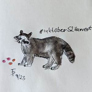 Ink drawing racoon harvesting tomatoes